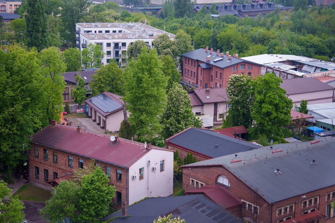 Rooftops of old industrial buildings surrounded by trees.