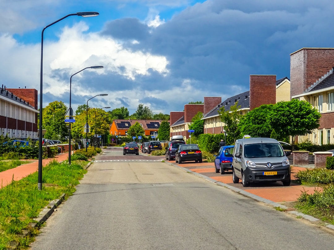 Street lined with houses and parked cars under cloudy sky