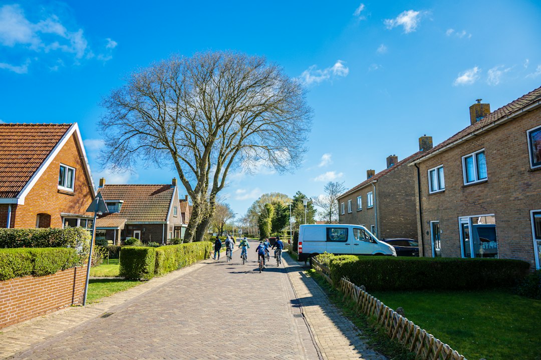 A quiet street with houses, a large tree, and cyclists