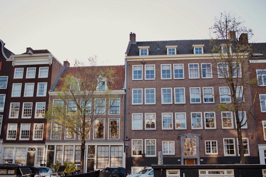 Traditional european buildings with many windows and trees
