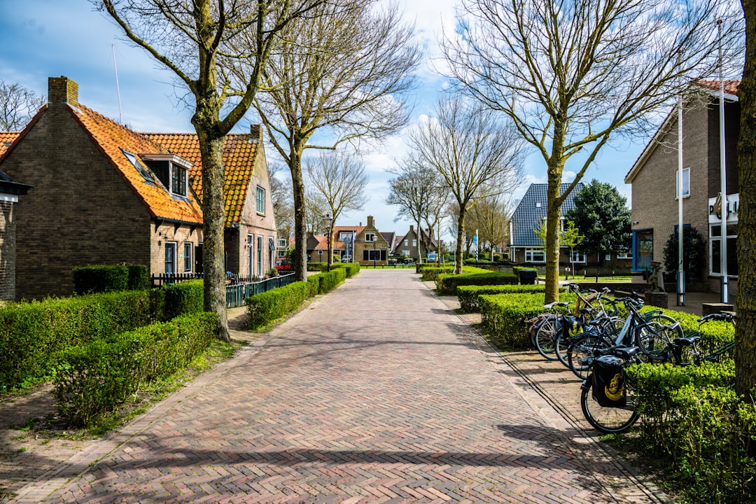 A charming brick path lined with trees, hedges, and houses