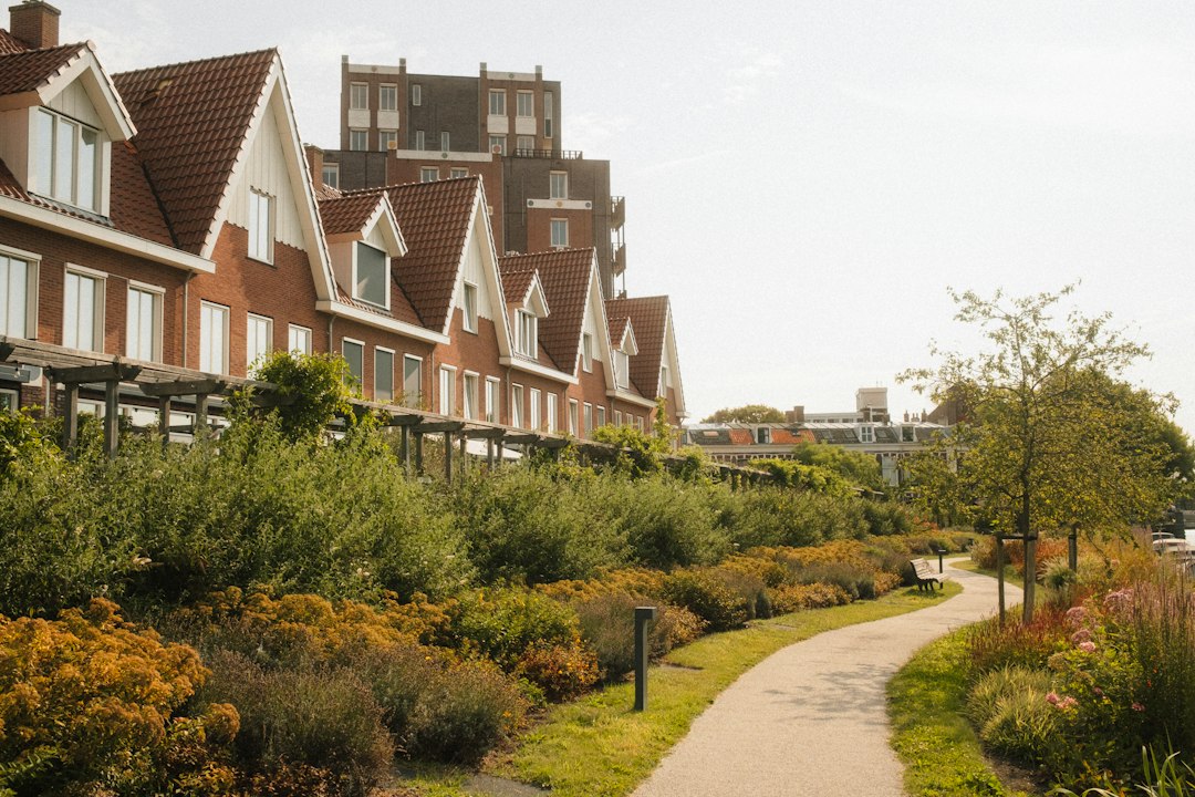 A winding path through a garden beside a row of brick houses