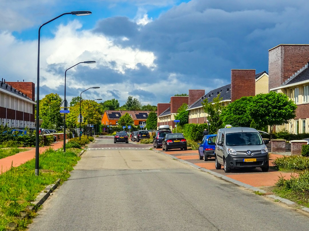 Street lined with houses and parked cars under cloudy sky